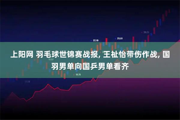 上阳网 羽毛球世锦赛战报, 王祉怡带伤作战, 国羽男单向国乒男单看齐